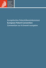 Europäisches Patentübereinkommen (EPÜ)